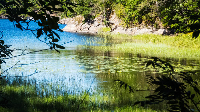Farrisvannet (3)