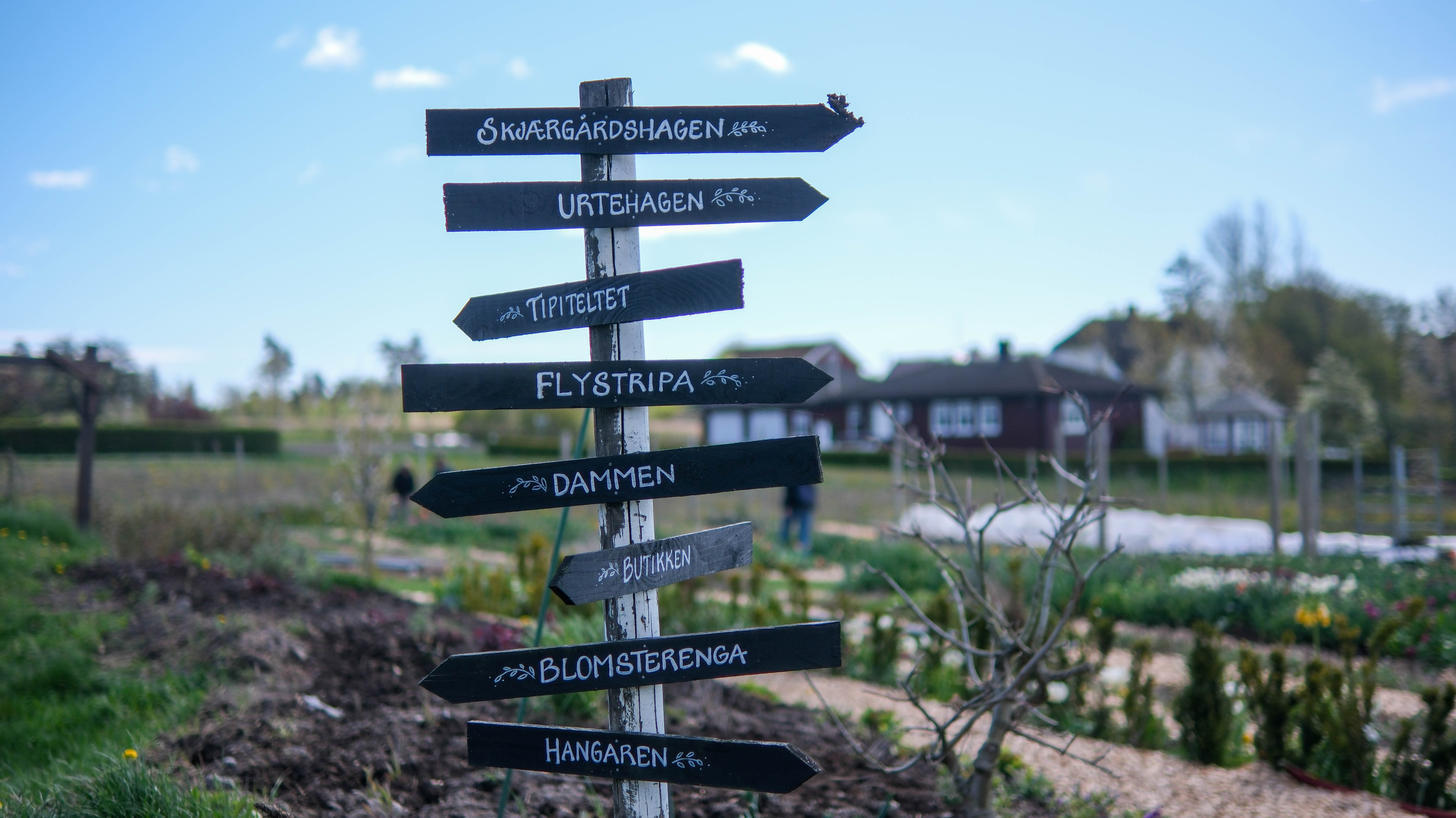 Camilla Anvik Backroad Travels Skjærgårdshagen 32