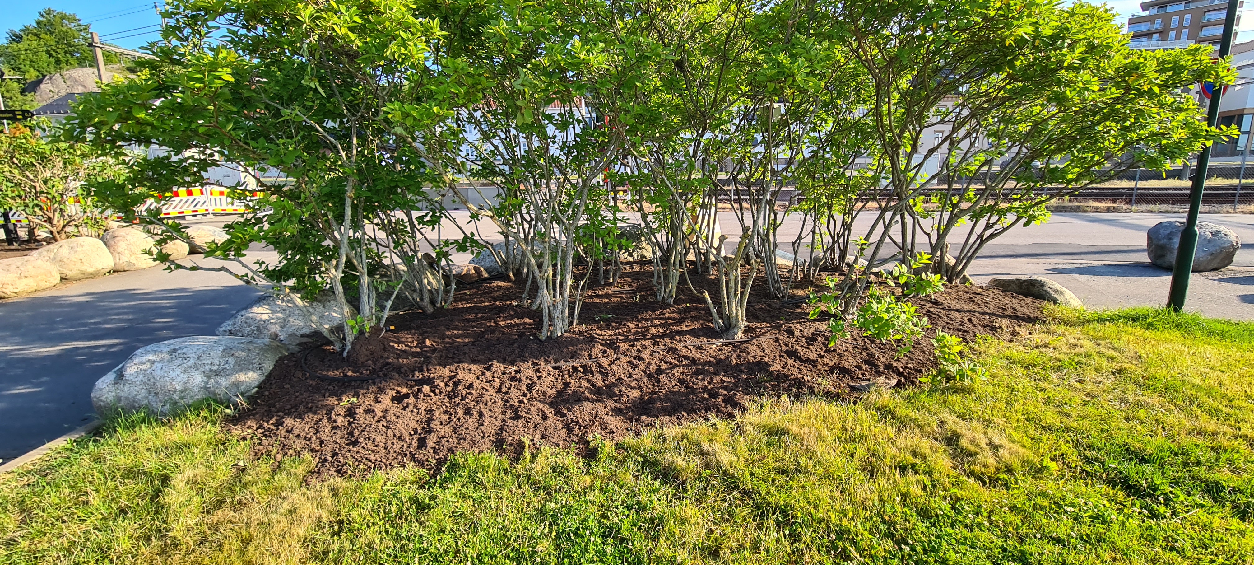 12 Luka Beplantinger