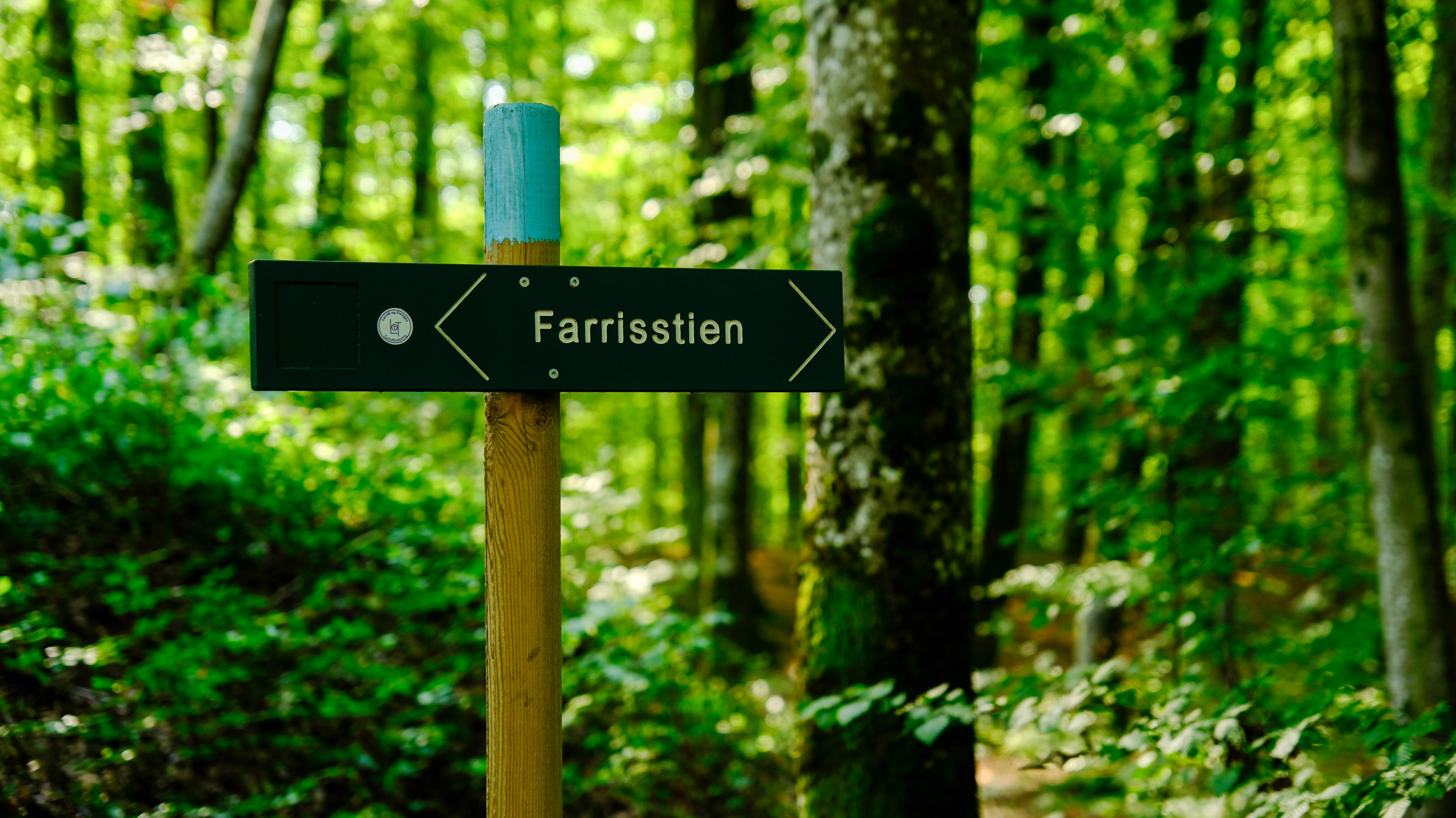 Bøkeskogen Larvik Leverer 9