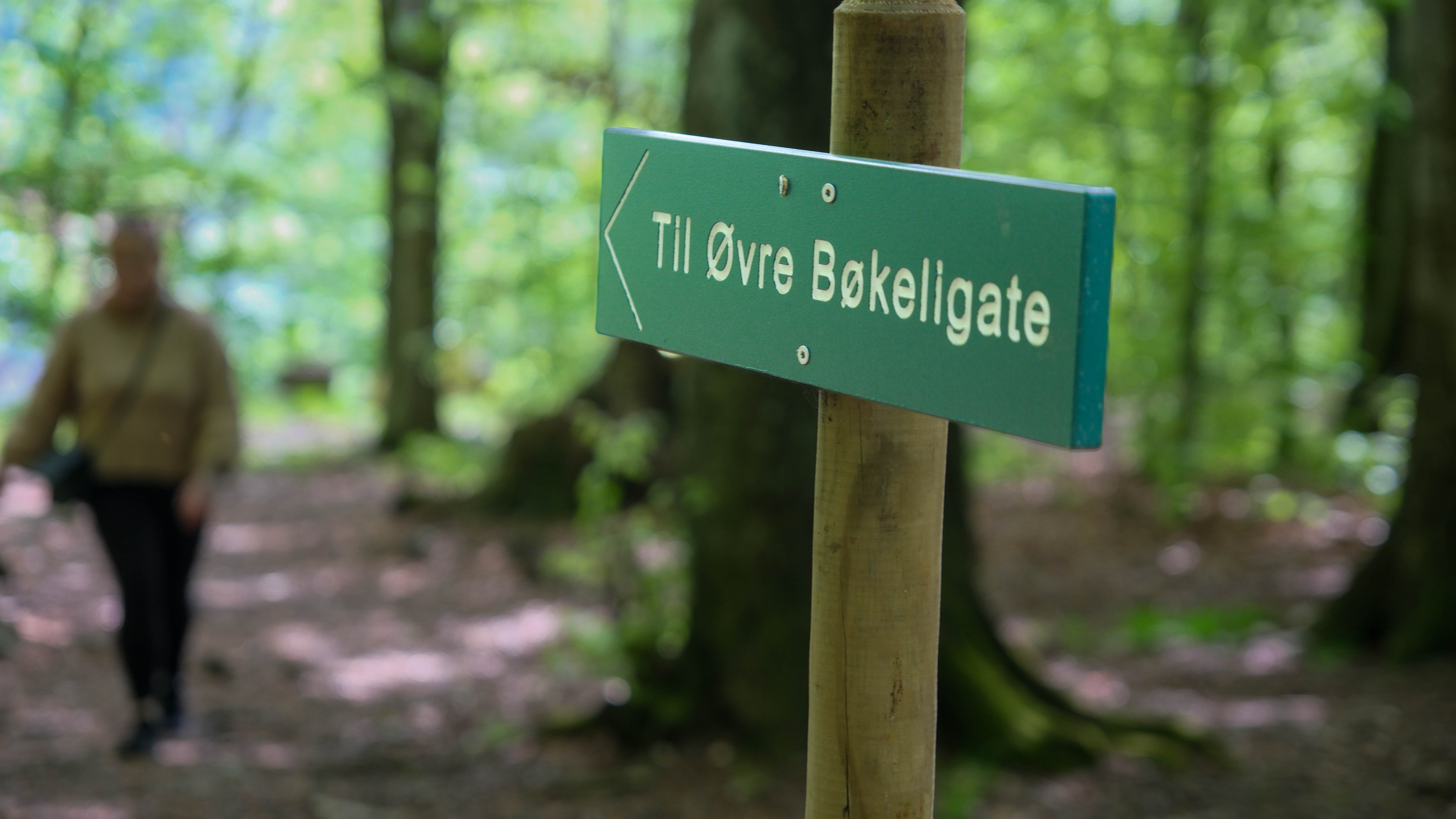 Kaja Kristine Sandvik Håkestad 24