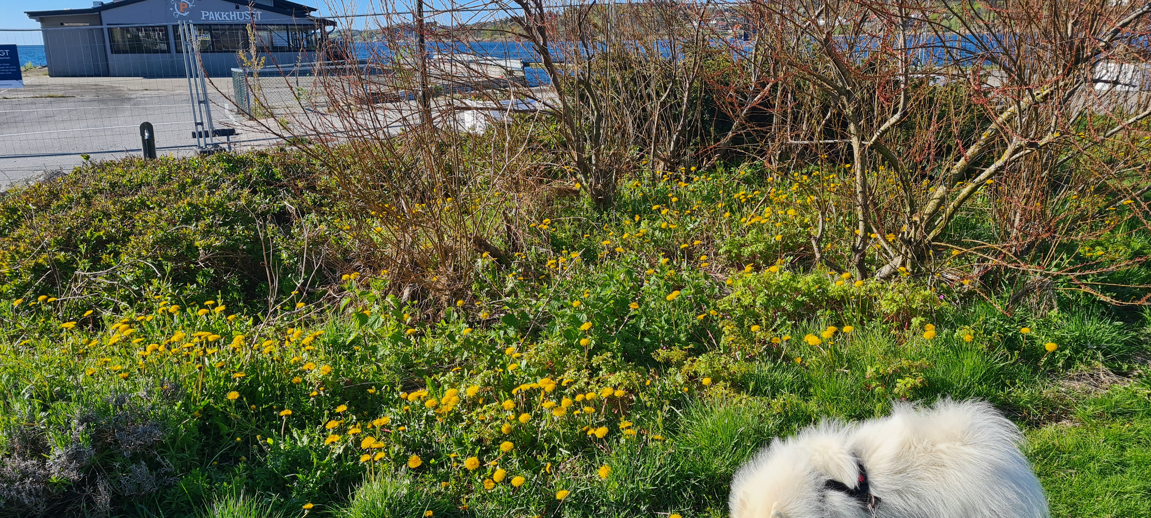 7 Langs Strandpromenaden