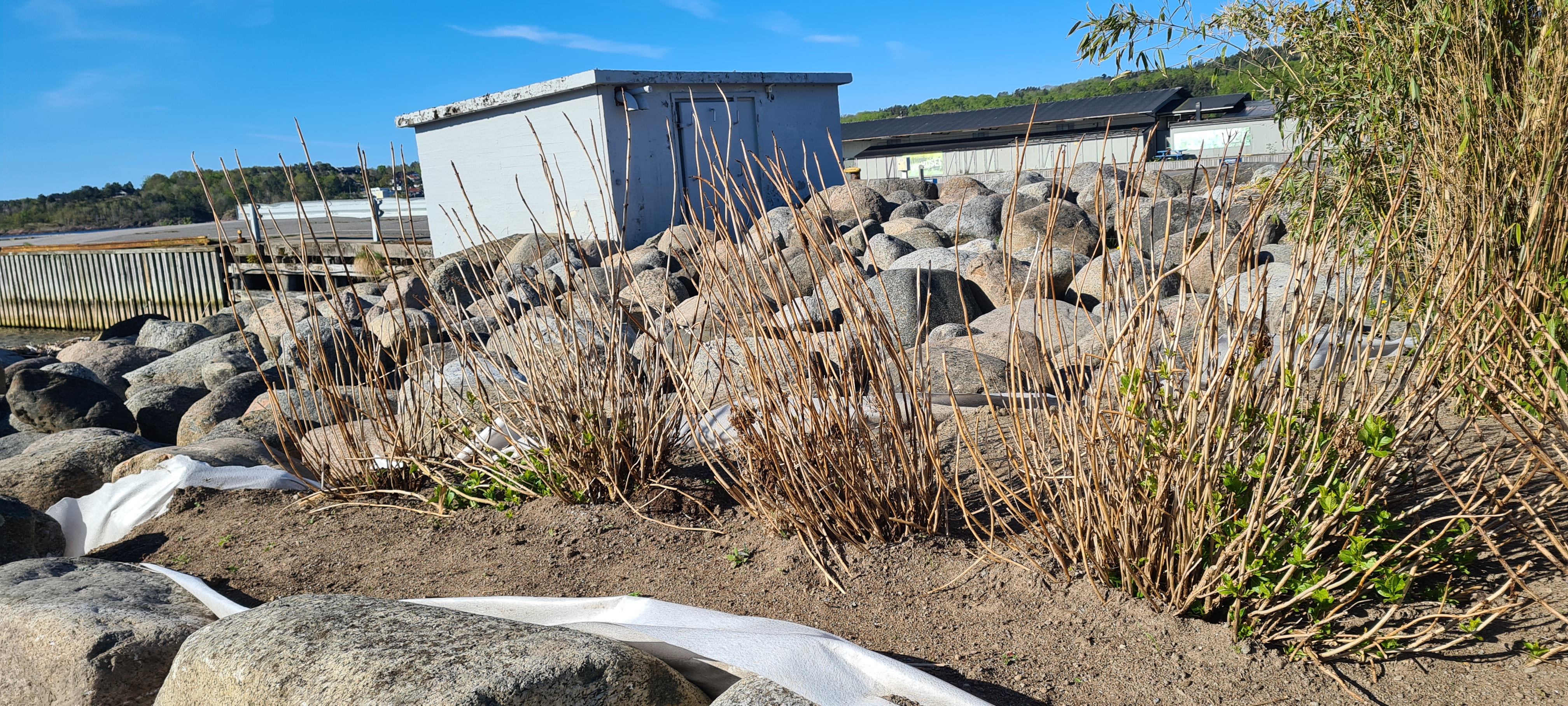 4 I Krysset Mellom Sauna Og Iskiosk