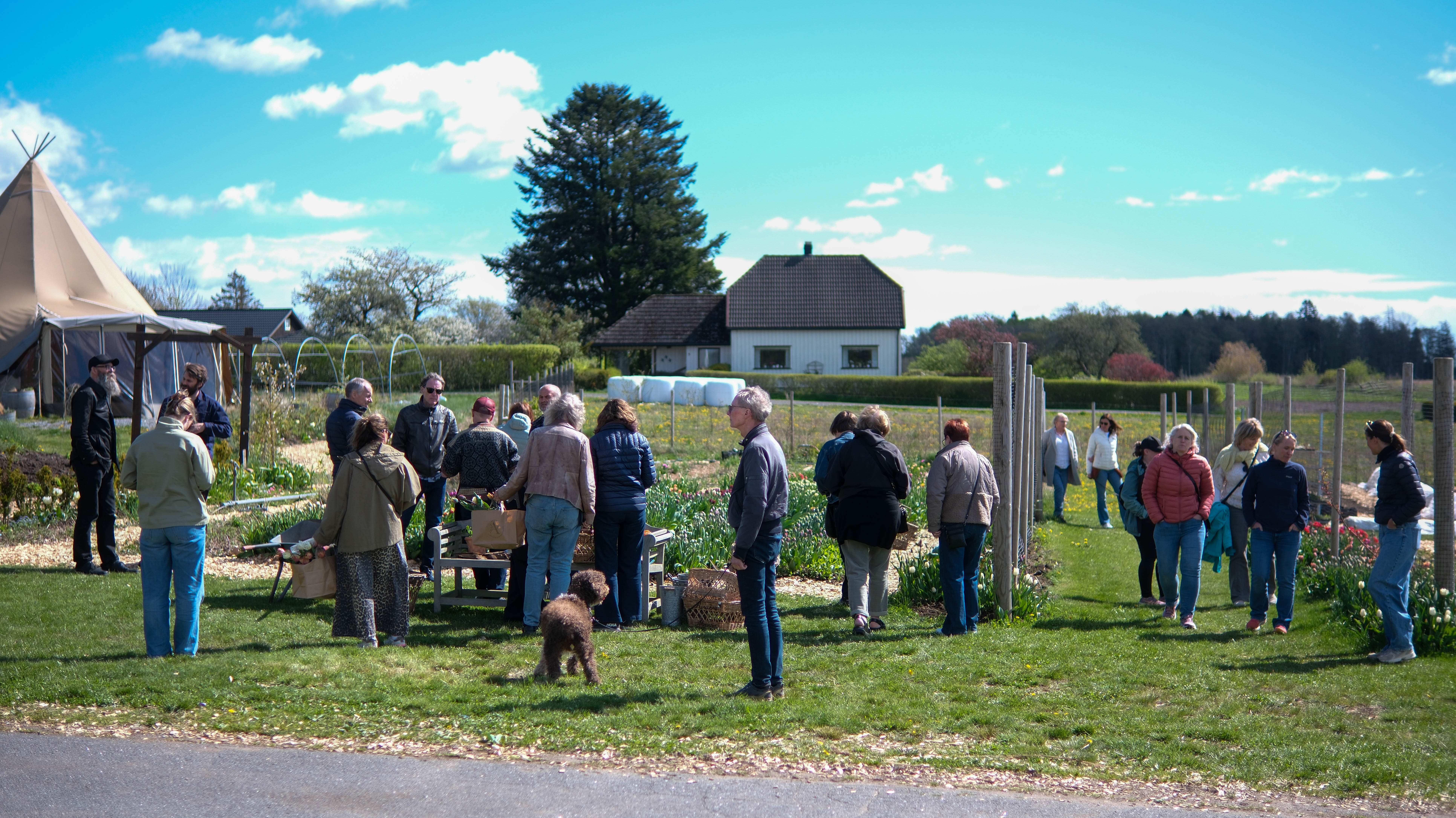 Camilla Anvik Backroad Travels Skjærgårdshagen 22