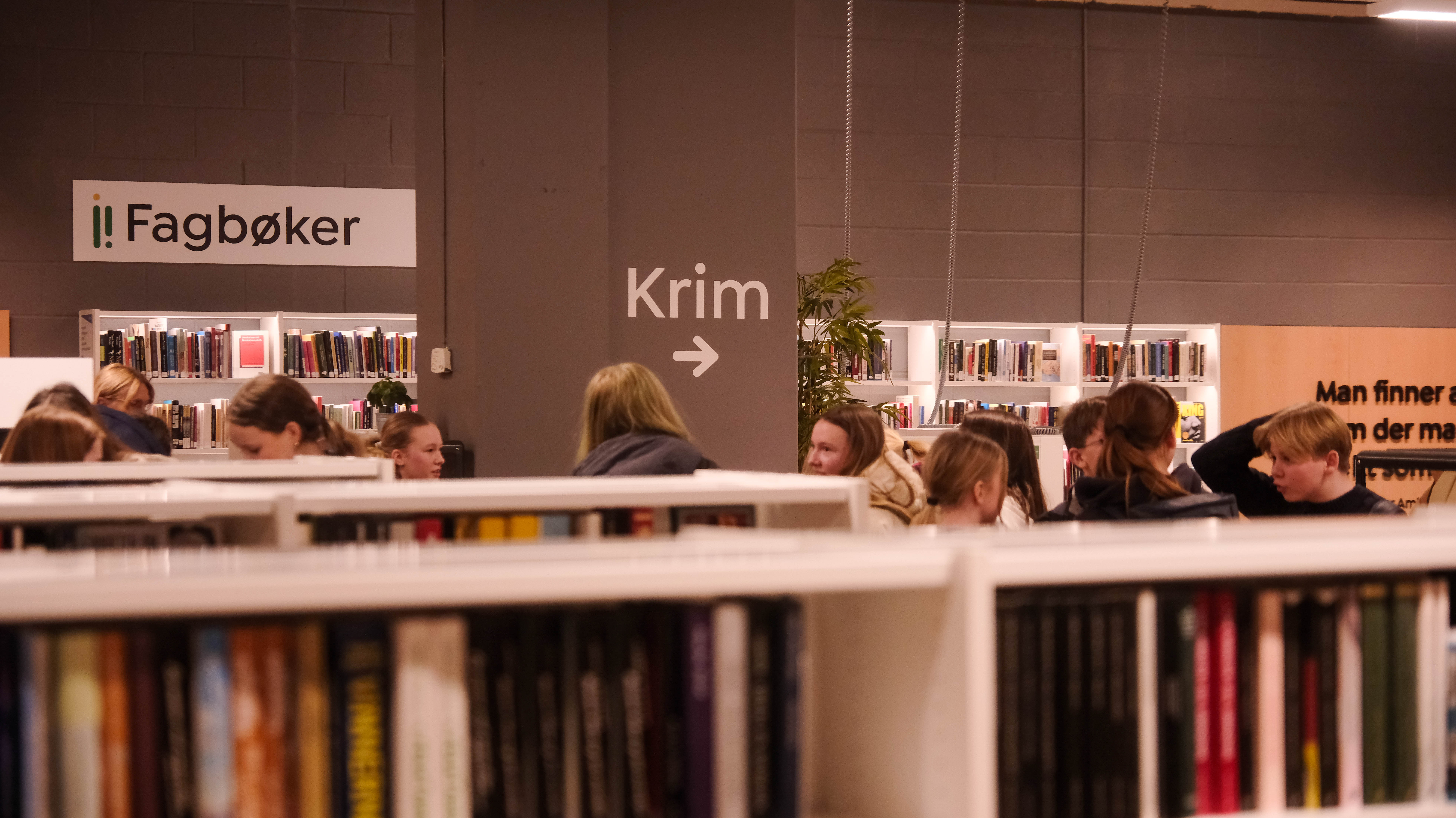 Vinteraktiviteter I Larvik Del 2 15