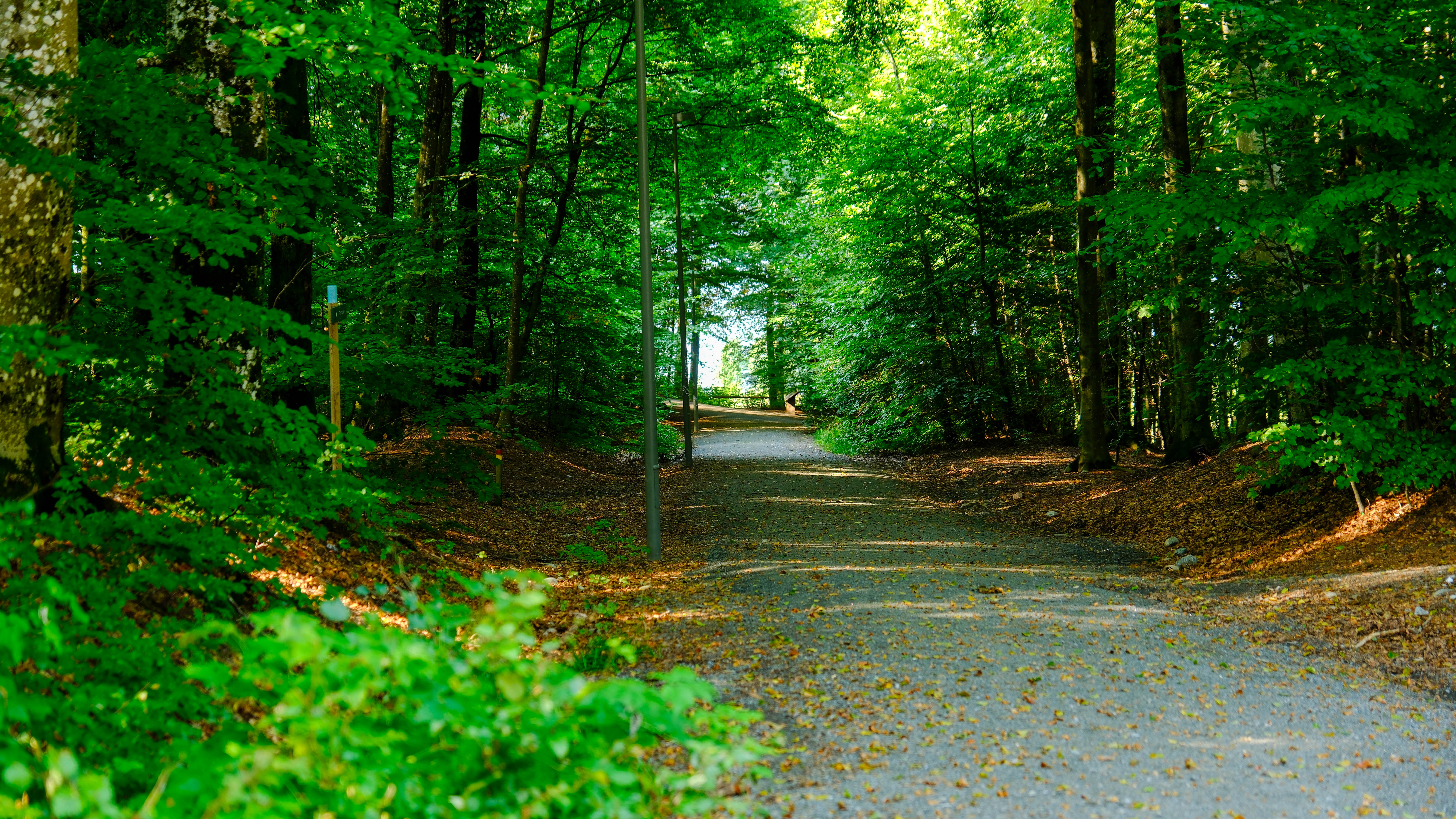 Bøkeskogen Larvik Leverer 6