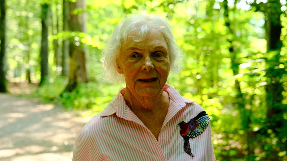 Bøkeskogen Larvik Leverer 17