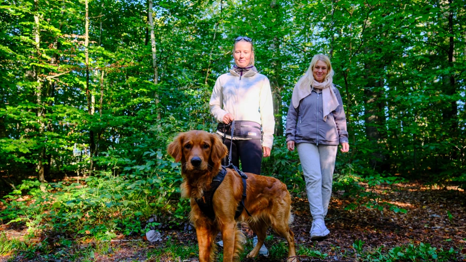 Bøkeskogen Larvik Leverer Dag 2 5