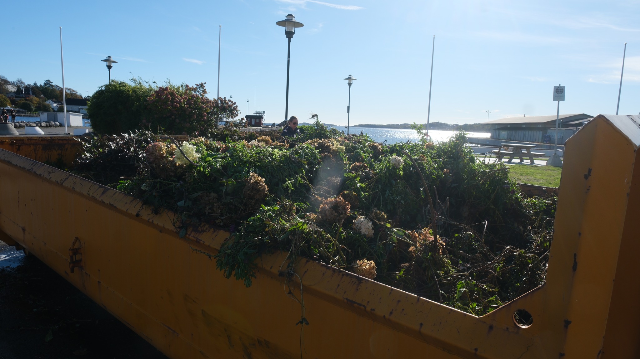 Dugnadsgjengen Etter Amy3