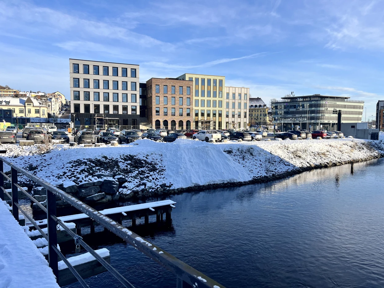 Saga Hammerdalen
