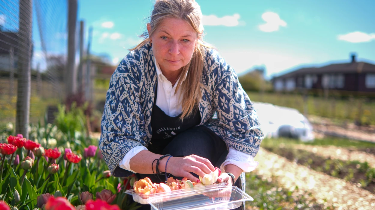 Camilla Anvik Backroad Travels Skjærgårdshagen 27