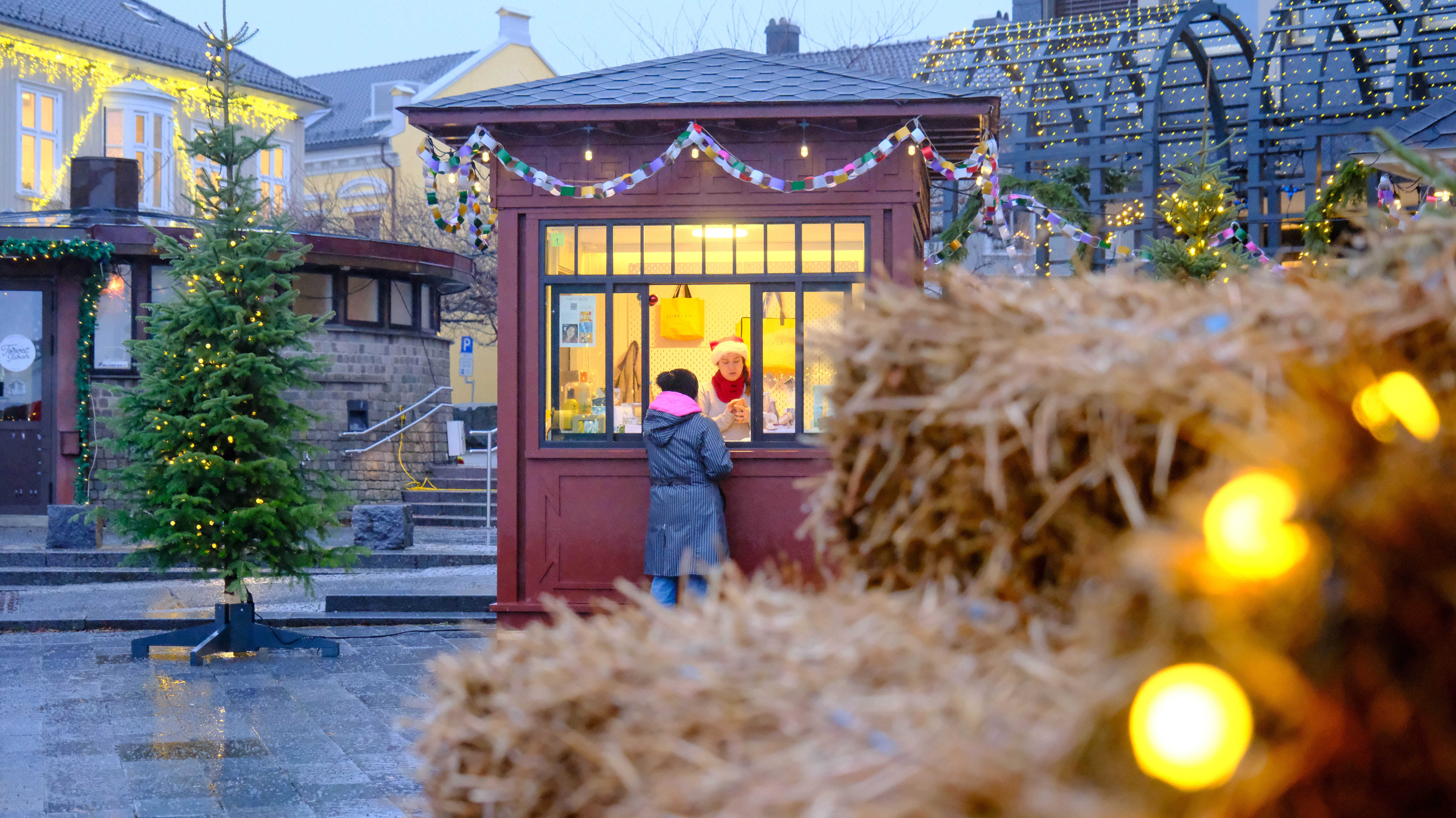 Ingerid Heggelund Kandidat 3