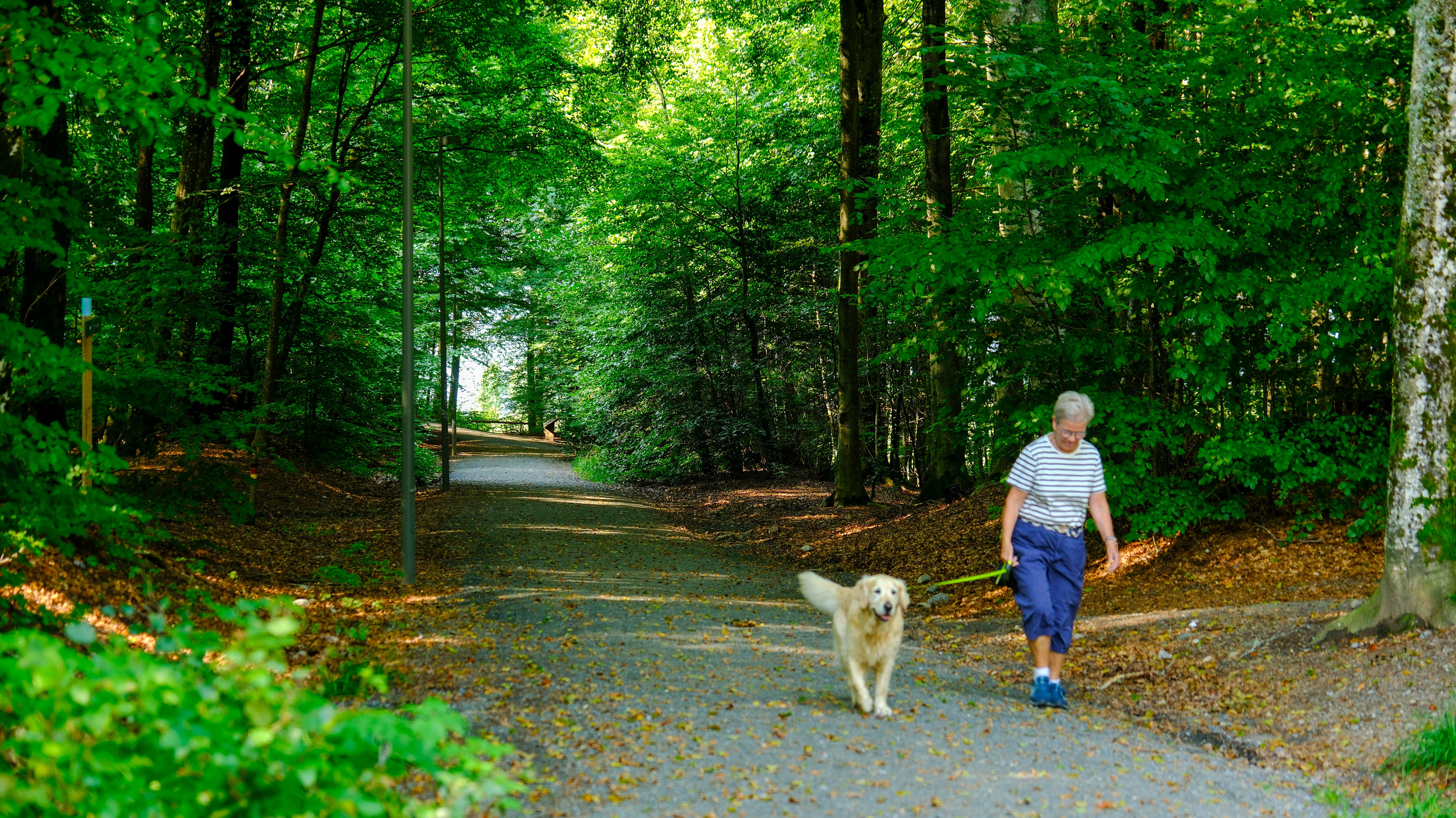 Bøkeskogen Larvik Leverer 5