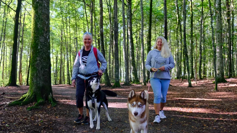 Derfor elsker vi Bøkeskogen