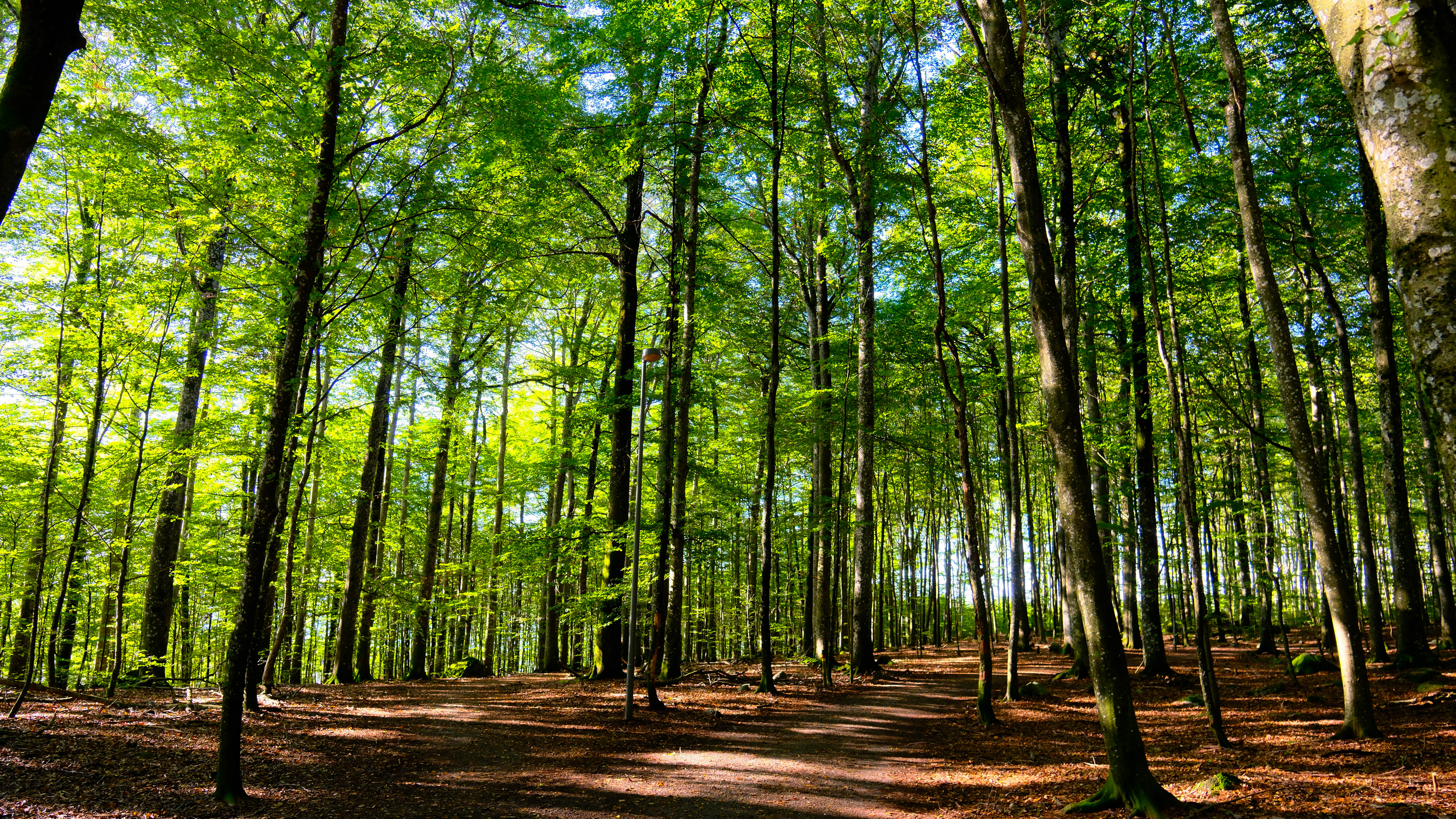 Bøkeskogen Larvik Leverer Dag 2 8